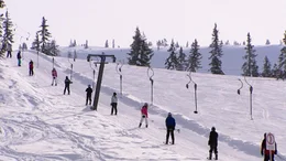 Eine am&uuml;sante Winterreise quer durch &Ouml;sterreich, von Mariazell bis St. Anton am Arlberg. Vom Geheimtipp &uuml;ber Traditionsreiches, vom einst Angesagten bis zum heute Gefragten. Etwas gilt f&uuml;r alle Regionen, durch die sich dieser Film bewegt: der gro&szlig;artige Aufschwung kam innerhalb der vergangenen hundert Jahre mit den ersten Seilbahnen und Liftanlagen. Aber auch abseits der Pisten tummeln sich bemerkenswerte Figuren, wie der steirische Barfu&szlig;wanderer, der auch im Tiefschnee ohne Schuhwerk unterwegs ist, oder der Tiroler Eismann, der seine Tage im Inneren einer Gletscherh&ouml;hle verbringt. Ausgezeichnetes historisches Archivmaterial dokumentiert diesen "alpinen Wirtschaftsboom" und Zeitzeugen erz&auml;hlen, wie es damals war, als die Seilbahn auf den Berg gekommen ist.
