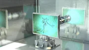 A synchroton light beam scans the fossil of an Archaeopteryx, the earliest and most primitive known bird species. A synchroton light beam scans the fossil of an Archaeopteryx, the earliest and most primitive known bird species.