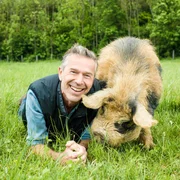 Schweinchen schlau: Schweine z&auml;hlen zu den verkannten Genies unter den Tieren. Sie sind viel schlauer als ihr Ruf.
