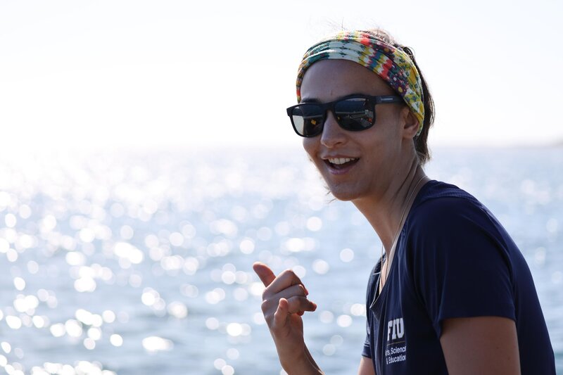 Hai vs. Delfin (USA, 2020)