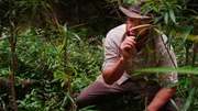 Forrest Galante Looking At A Green Snake &ndash; Close Up