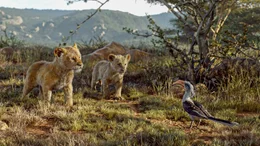 L-R: Simba, Nala, Zazu