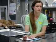 Stella Blue is brought in by her owner after a skiing accident.