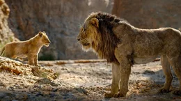 Simba (l.); Scar (r.)