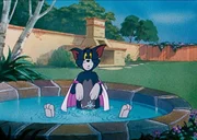 Toms Flugversuche sind nicht von Erfolg gekr&ouml;nt.