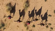 Zwei Wochen lang patrouillieren die Ranger durch die entlegenen Gebiete des Ennedi-Plateaus. Nachdem es zum UNESCO-Weltkulturerbe erklärt wurde, schuf die Regierung das Ennedi-Natur- und Kulturreservat, um das einzigartige Ökosystem zu schützen. Zwei Wochen lang patrouillieren die Ranger durch die entlegenen Gebiete des Ennedi-Plateaus. Nachdem es zum UNESCO-Weltkulturerbe erklärt wurde, schuf die Regierung das Ennedi-Natur- und Kulturreservat, um das einzigartige Ökosystem zu schützen.