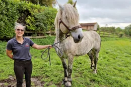 Die Pferdepflegerin C&eacute;rise mit einem Percheron vom Nationalgest&uuml;t Haras du Pin.