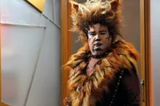 Cam (Eric Stonestreet) steckt in einem Dilemma: Wenn er sich um die Hauptrolle im Musical CATS bemüht, muss er den Kampf um seinen Lieblingsbaum im Park aufgeben. Kann ihn möglicherweise jemand vertreten?