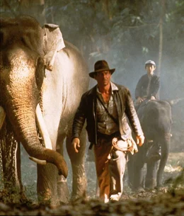 Selbst die Elefanten folgen nur einem: Indiana Jones (Harrison Ford) ...