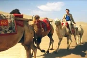 Auf den Spuren Marco Polos: Moderator Alfred de Montesquiou begleitet eine Karawane durch die scheinbar endlosen Weiten Zentralasiens. Wichtigstes Lasttier in der Region ist das Trampeltier, auch Baktrisches Kamel genannt.