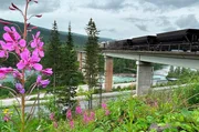 Norwegen auf der Schiene: Der G&uuml;terzug f&auml;hrt nach der Mine &uuml;ber eine gro&szlig;e Br&uuml;cke, um dann auf die Strecke der Nordlandsbahn zu sto&szlig;en.