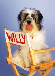 Gleich zweimal ist Willy Wuff Weihnachten zu sehen - am Heiligabend mit "Weihnachten mit Willy Wuff" und am erste Weihnachtstag mit "Weihnachten mit Willy Wuff II - Eine Mama für Lieschen". Gleich zweimal ist Willy Wuff Weihnachten zu sehen - am Heiligabend mit "Weihnachten mit Willy Wuff" und am erste Weihnachtstag mit "Weihnachten mit Willy Wuff II - Eine Mama für Lieschen".