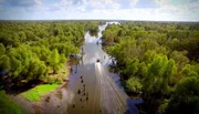 Ein Boot im Atchafalaya Basin, ein gewaltiges Sumpfgebiet. Es ist das Reich der Cajuns, französischstämmiger Siedler, die vor der Herrschaft der Engländer in diese unwegsame Welt auswichen. Ein Boot im Atchafalaya Basin, ein gewaltiges Sumpfgebiet. Es ist das Reich der Cajuns, französischstämmiger Siedler, die vor der Herrschaft der Engländer in diese unwegsame Welt auswichen.