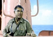 Kapit&auml;n Sherman (Cary Grant) ist mehr als &uuml;berrascht, als er sein U-Boot im sch&ouml;nsten Rosa leuchten sieht.