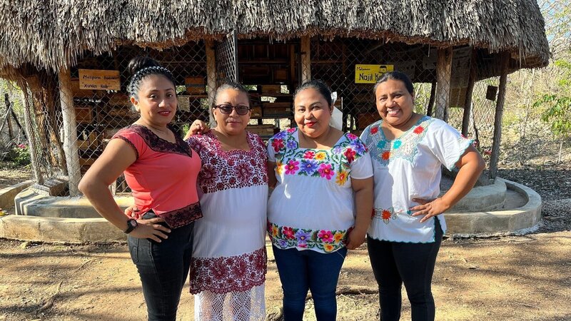 Die Honigfrauen von Yucatan – Las damas de la miel (D, 2025)