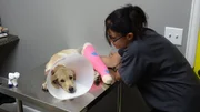 Shelly examines Reya during a follow up visit.