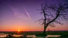 Sonnenaufgang in den Meerbruchswiesen.