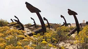 Ankerfriedhof am Strand Praia do Barril: Er erinnert an die Zeit, als an der Algarve in gro&szlig;em Umfang Thunfisch gefangen wurde.