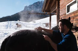 Italien - Winter in S&uuml;dtirol: Christian Nagler vom Maso Runch Hof beim Waschen eines Norikers, einer alten Pferderasse.