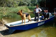 Kommissar Rex betätigt sich mal wieder als Spürnase. Zusammen mit Kommissar Moser (Tobias Moretti, l.) und Stockinger (Karl Markovics, r.) sind sie in den Donau-Auen auf der Suche nach dem "Liebespaarmörder". Kommissar Rex betätigt sich mal wieder als Spürnase. Zusammen mit Kommissar Moser (Tobias Moretti, l.) und Stockinger (Karl Markovics, r.) sind sie in den Donau-Auen auf der Suche nach dem "Liebespaarmörder".