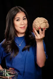 Eine graue Masse, etwa 1,3 Kilogramm schwer, und gleichzeitig die komplexeste Struktur, die uns im Universum bekannt ist: das Gehirn. Wie es tickt, zeigt Dr. Mai Thi Nguyen-Kim. Eine graue Masse, etwa 1,3 Kilogramm schwer, und gleichzeitig die komplexeste Struktur, die uns im Universum bekannt ist: das Gehirn. Wie es tickt, zeigt Dr. Mai Thi Nguyen-Kim.
