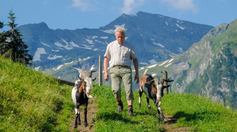 Auf den Gipfeln des Pinzgau (A, 2020)