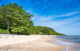 Stenshuvud National Park Lush forests with High Biodiversity and Long Sandy Beach in Osterlen Skane, South Sweden.