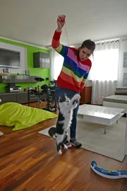 Das Spielen ist f&uuml;r Katzen wie das Gassigehen f&uuml;r Hunde.