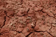 Titanosaur egg shells adorn the desert in Auca Mahuevo, Argentina, strewn across the Badlands for about 2 square miles. The presence of the shells serves as an indication that this area was once a dinosaur nesting site.