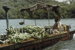 Bananenh&auml;ndler Joe (Bud Spencer) besitzt weder Ausweispapiere noch eine g&uuml;ltige Handelslizenz. Als ihm eines Tages eine Mafia-Organisation den Bananenhandel abspenstig macht, will er sich auf Biegen und Brechen die notwendigen Papiere besorgen.