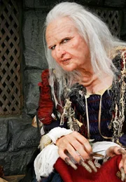 Die Hexe (Veronica Ferres)