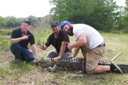 L-R: Oliver, Robert and Eric Young holding an alligator.
