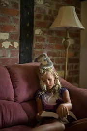 Izzie reading a book with a koala on her head.