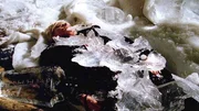 Die Hotelbesitzerin Fiona Chisolm (Hannah Sussman) wird tot inmitten des Kunstschneeparadieses ihres Hotelgartens gefunden. Die Todesursache stellt die Ermittler des CSI vor ein Rätsel - ihr Herz ist erfroren. Die Hotelbesitzerin Fiona Chisolm (Hannah Sussman) wird tot inmitten des Kunstschneeparadieses ihres Hotelgartens gefunden. Die Todesursache stellt die Ermittler des CSI vor ein Rätsel - ihr Herz ist erfroren.