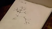 Darwin entwickelt die Evolutionstheorie: die "I-think-Skizze". Darwin entwickelt die Evolutionstheorie: die "I-think-Skizze".