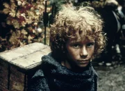 Birk (H&aring;fstr&ouml;m) ist der Sohn des R&auml;uberhauptmanns Borka, ein Erzfeind von Roinjas Vater Mattis.