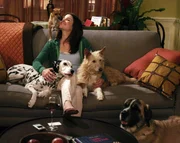 Zwischen Ted und Robin (Cobie Smulders) knistert es gewaltig, obwohl er eigentlich in einer festen Beziehung ist ...