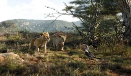 L - R: Simba, Nala, Zazu