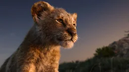 Der zuk&uuml;nftige K&ouml;nig der Tiere: Simba
