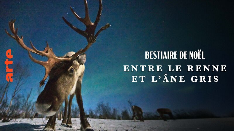 Tierische Weihnachten – Zwischen Tannenzweigen und Tierpfoten (D/FIN/F, 2024)