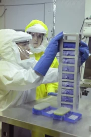 Jane Doe (Jaimie Alexander, r.)