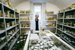 Eduard Winter erkl&auml;rt Rokitanskys pathologische Sammlung.