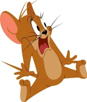 In der Welt einer Maus gibt es manchmal b&ouml;se &Uuml;berraschungen. Da muss Jerry sehr gut aufpassen.