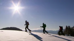 Eine am&uuml;sante Winterreise quer durch &Ouml;sterreich, von Mariazell bis St. Anton am Arlberg. Vom Geheimtipp &uuml;ber Traditionsreiches, vom einst Angesagten bis zum heute Gefragten. Etwas gilt f&uuml;r alle Regionen, durch die sich dieser Film bewegt: der gro&szlig;artige Aufschwung kam innerhalb der vergangenen hundert Jahre mit den ersten Seilbahnen und Liftanlagen. Aber auch abseits der Pisten tummeln sich bemerkenswerte Figuren, wie der steirische Barfu&szlig;wanderer, der auch im Tiefschnee ohne Schuhwerk unterwegs ist, oder der Tiroler Eismann, der seine Tage im Inneren einer Gletscherh&ouml;hle verbringt. Ausgezeichnetes historisches Archivmaterial dokumentiert diesen "alpinen Wirtschaftsboom" und Zeitzeugen erz&auml;hlen, wie es damals war, als die Seilbahn auf den Berg gekommen ist.