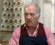 Vinzenz Bergmoser, Bauer (Peter Steiner)