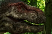 VFX Aufnahme eines T-Rex