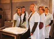 Uschi (Barbara Freier, li.), Walter (Katy Karrenbauer, 2.v.li.), Regine (Ana Fonell, 2.v.re.) und Vivi (Annette Frier, re.) sind überrascht, dass Dagmar (Kristiane Kupfer) zu Evelyn Kaltenbach gerufen wird. Uschi (Barbara Freier, li.), Walter (Katy Karrenbauer, 2.v.li.), Regine (Ana Fonell, 2.v.re.) und Vivi (Annette Frier, re.) sind überrascht, dass Dagmar (Kristiane Kupfer) zu Evelyn Kaltenbach gerufen wird.