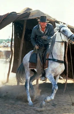 Immer im Einsatz des Guten: Indiana Jones (Harrison Ford) ...