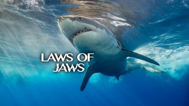Laws of Jaws - Das Gesetz der Haie (USA, 2018)