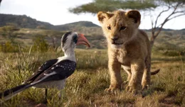 L - R: Zazu, Simba